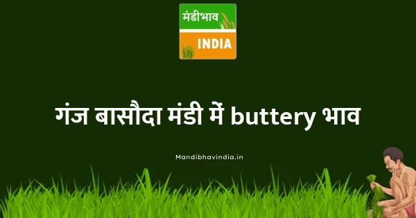 buttery भाव